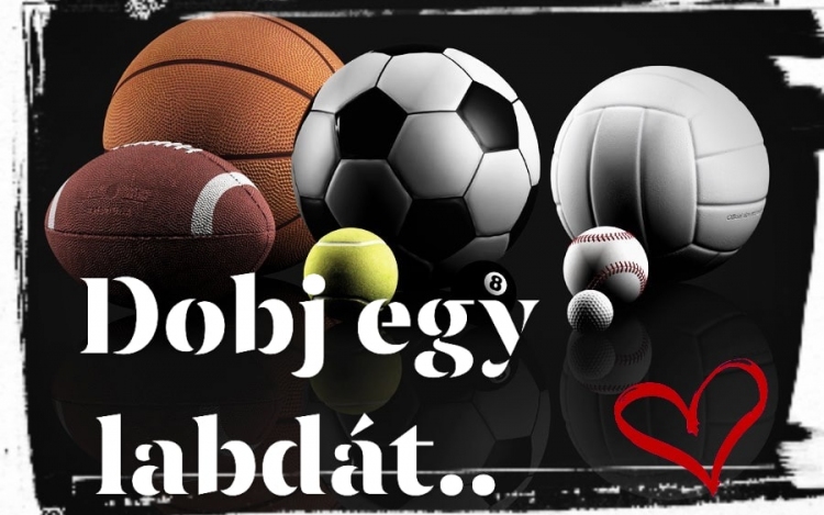 Dobj egy labdát - Kampány a Szigetközi Gyermekekért