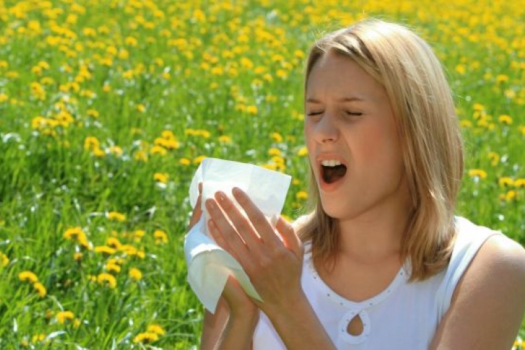 Pollenhelyzet - A következő napokban is komoly tüneteket okozhat a parlagfű