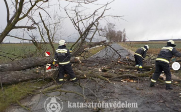  A viharos szél a tűzoltóknak is adott munkát Győr-Moson-Sopron megyében 
