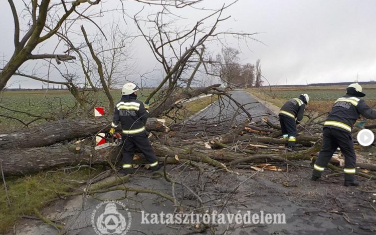  A viharos szél a tűzoltóknak is adott munkát Győr-Moson-Sopron megyében 
