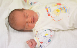 Zsemberi Martin, Mosonmagyaróvár