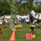 10.  Sajtos-Réti fogathajtó verseny 