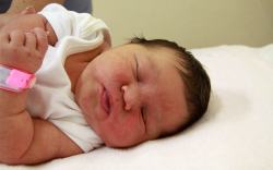 Szuper Szofia, Mosonmagyaróvár