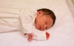 Tóth-Markó Rozina, Mosonmagyaróvár