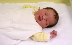 Piller Sára, Mosonmagyaróvár