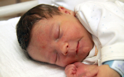 Makkai Áron Alexander, Mosonmagyaróvár