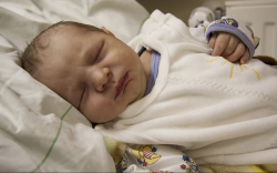 Skultéti István, Hegyeshalom