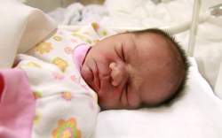 Varga Noémi, Jánossomorja