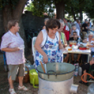 IV. Lébényi Ízőrző Nap