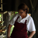 Szigetközi gulyahajtás 2018