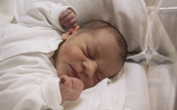 Keszegh Zsombor, Mosonmagyaróvár