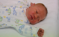 Weinhold Ádám, Jánossomorja