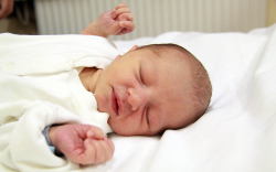 Divós Tamás Nimród, Jobaháza