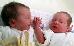 Györfi Níla és Györfi Alen, Levél