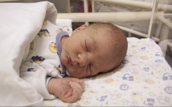 Dornstadter Ábel, Mosonmagyaróvár