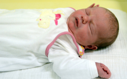 Bíró Noémi, Mosonmagyaróvár