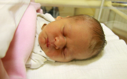 Németh Lilla, Jánossomorja