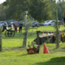 10.  Sajtos-Réti fogathajtó verseny 