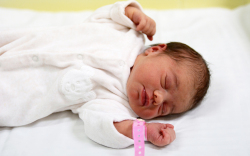 Vaszlavik Fanni, Mosonmagyaróvár