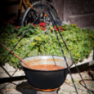 IV. Lébényi Ízőrző Nap