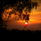 Scháling Anita Fotóalbuma