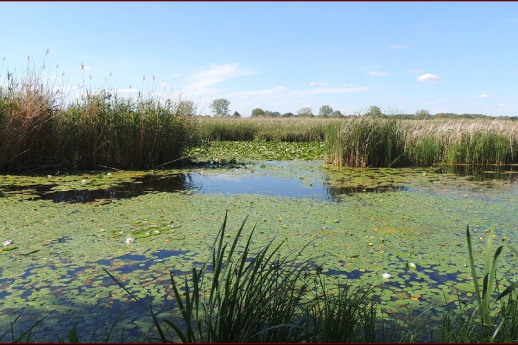 Nemzetközi Tájnap - Jégkorszaki séta a Macska - szigetre