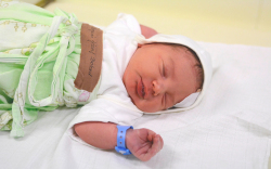 Bognár József Botond, Mosonmagyaróvár