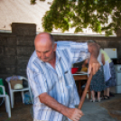 IV. Lébényi Ízőrző Nap