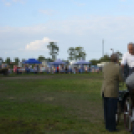 10.  Sajtos-Réti fogathajtó verseny 