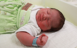 Szép Ádám János, Beled