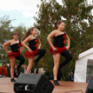 Szigetköz Lelke Pálinkaház - Családi program és a IV. bérfőzetői pálinkaverseny eredményhirdetése