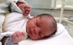 Vitálos András József, Mosonmagyaróvár