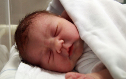 Németh Kata, Halászi