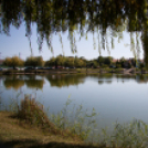 Jótékonysági horgászverseny a mosonmagyaróvári Hospice házért