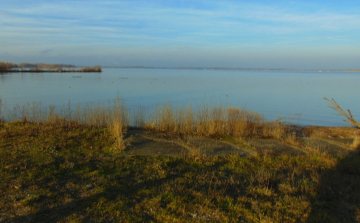 A víztározó madarász szemmel (Kalandozások a Szigetközben 1. rész)