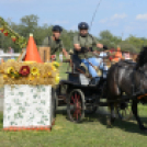 10.  Sajtos-Réti fogathajtó verseny 