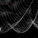 Tilai Gergely online fotókiállítása - díjnyertes képekkel