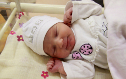 Enzsöl Nóra, Károlyháza