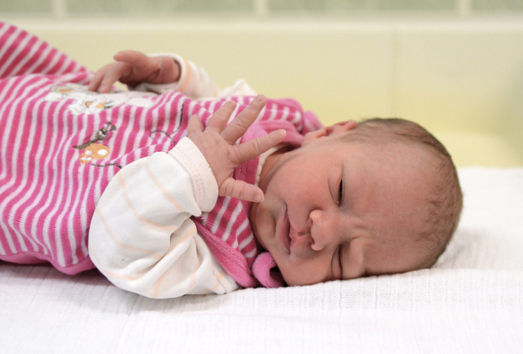 Németh Csenge, Várbalog