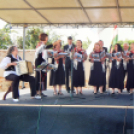 Megyei Nemzetiségi Nap és Megyei Értéknap