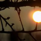 Scháling Anita Fotóalbuma