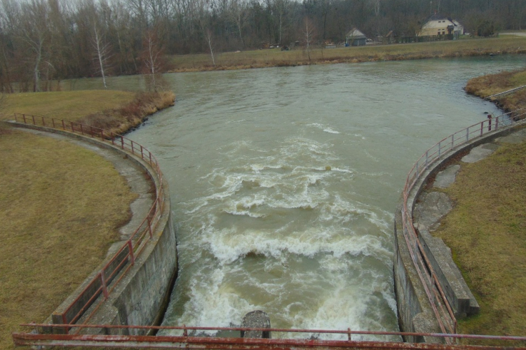 Séta a Jónási -ág környékén - Kalandozások a Szigetközben 3. rész
