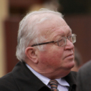 Megyei ünnepi megemlékezés és szoboravatás Lébényben