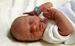 Szeberin Hunor, Mosonmagyaróvár