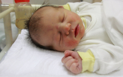 Radits Balázs, Mosonmagyaróvár