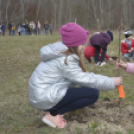 Nefelejcs Gyümölcsöskert avatás Dunaszigeten