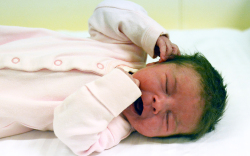 Ments Viktória, Rajka