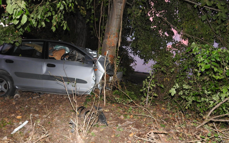 Fának ütközött, megsérült a sofőr