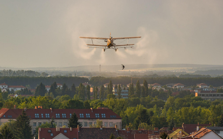 Pótolják az elmaradt szúnyoggyérítést