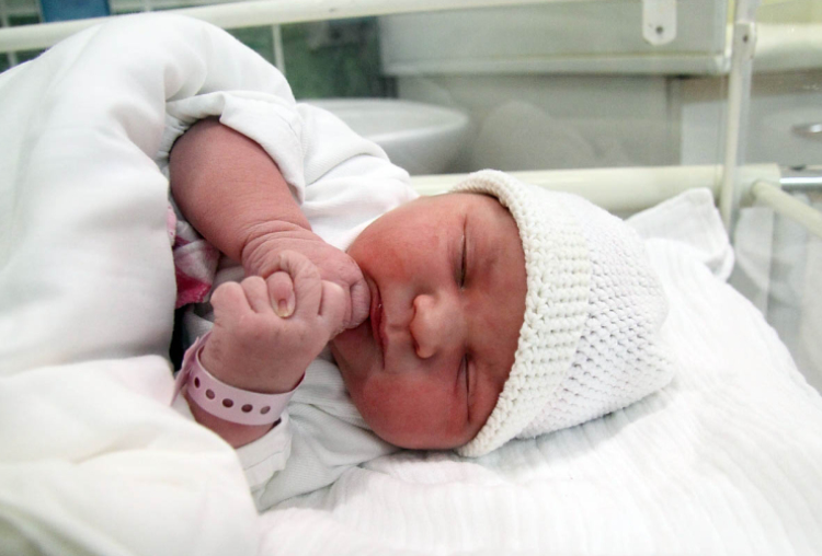 Csendes Nádja, Hegyeshalom